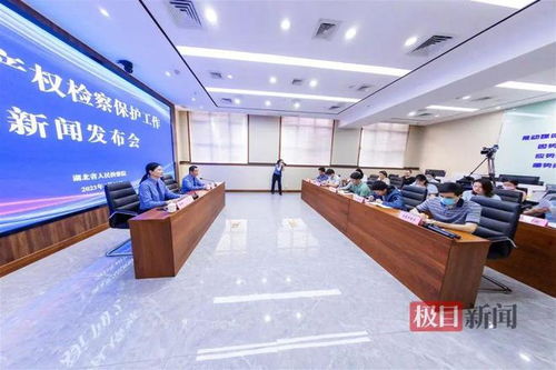 湖北通報(bào)知識(shí)產(chǎn)權(quán)檢察保護(hù)典型案例 侵權(quán)影片2200余部，8人因從事廣告業(yè)務(wù)獲刑